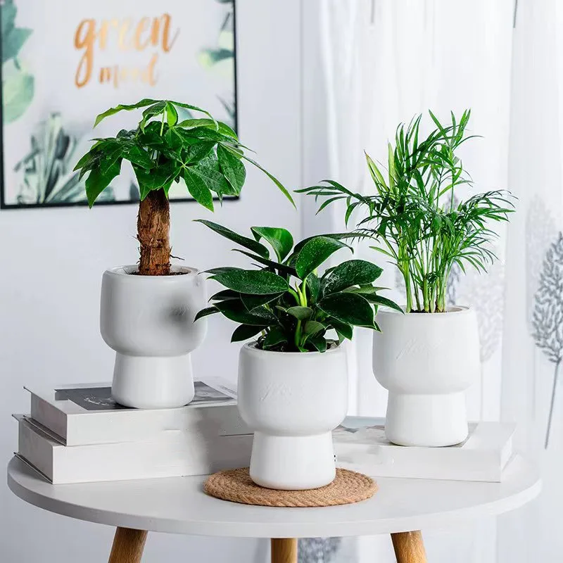 Пластиковый цветочный горшок с самополивом ACRDDK