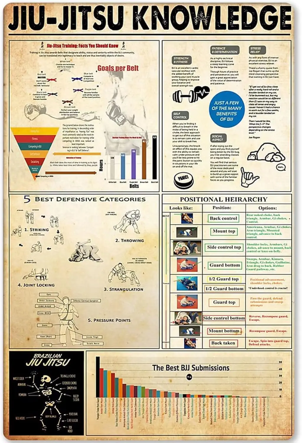 Brzln Ju-Jtsu Знания Metl Tn Sgn Bsc Sklls of nfogrphc Плакат Plque School Club Home Ktchen Br Cfe Wll Decorto