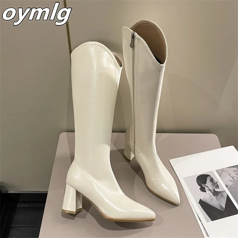 

2022 autumn and winter new boots women's simple square toe high-heeled boots patent leather thick heels but knees stovepipe