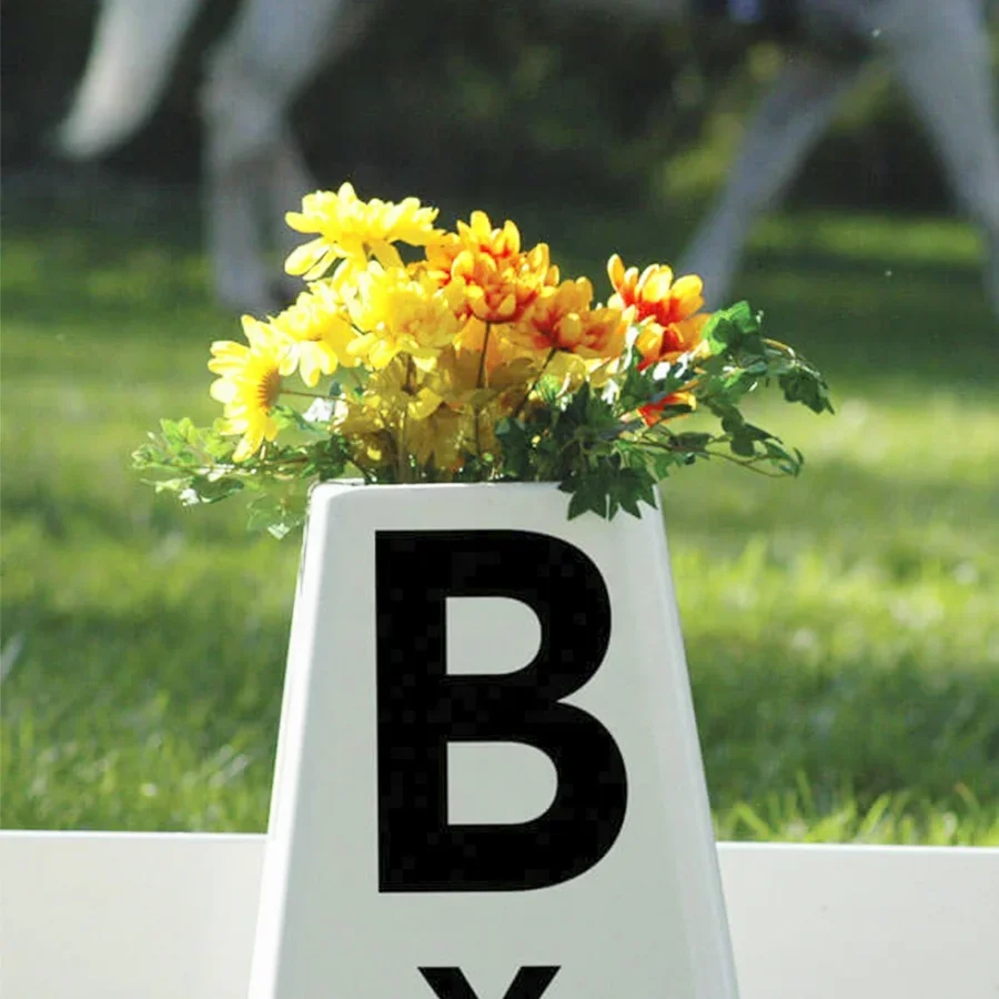 Для Fentech 20x60 м белый ПВХ ограждение для Выездки