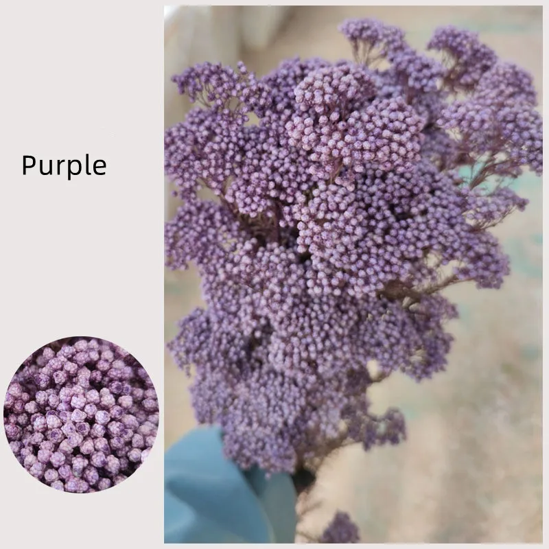 

50g Natural Millet Fruit Artificial Flowers Artificial Plants For Home Decor Wedding Gifts For Guests Wedding Dried Pampas