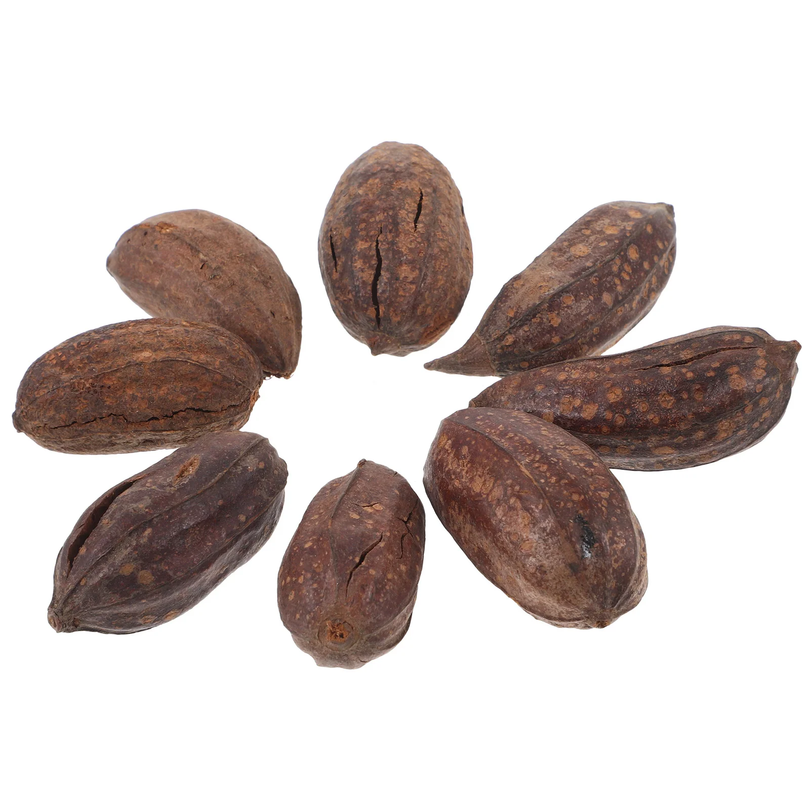 

8 Pcs Parrot Chewing Fruit Toy Toys Parrots Accessories Cage Dried Foraging Nutrition