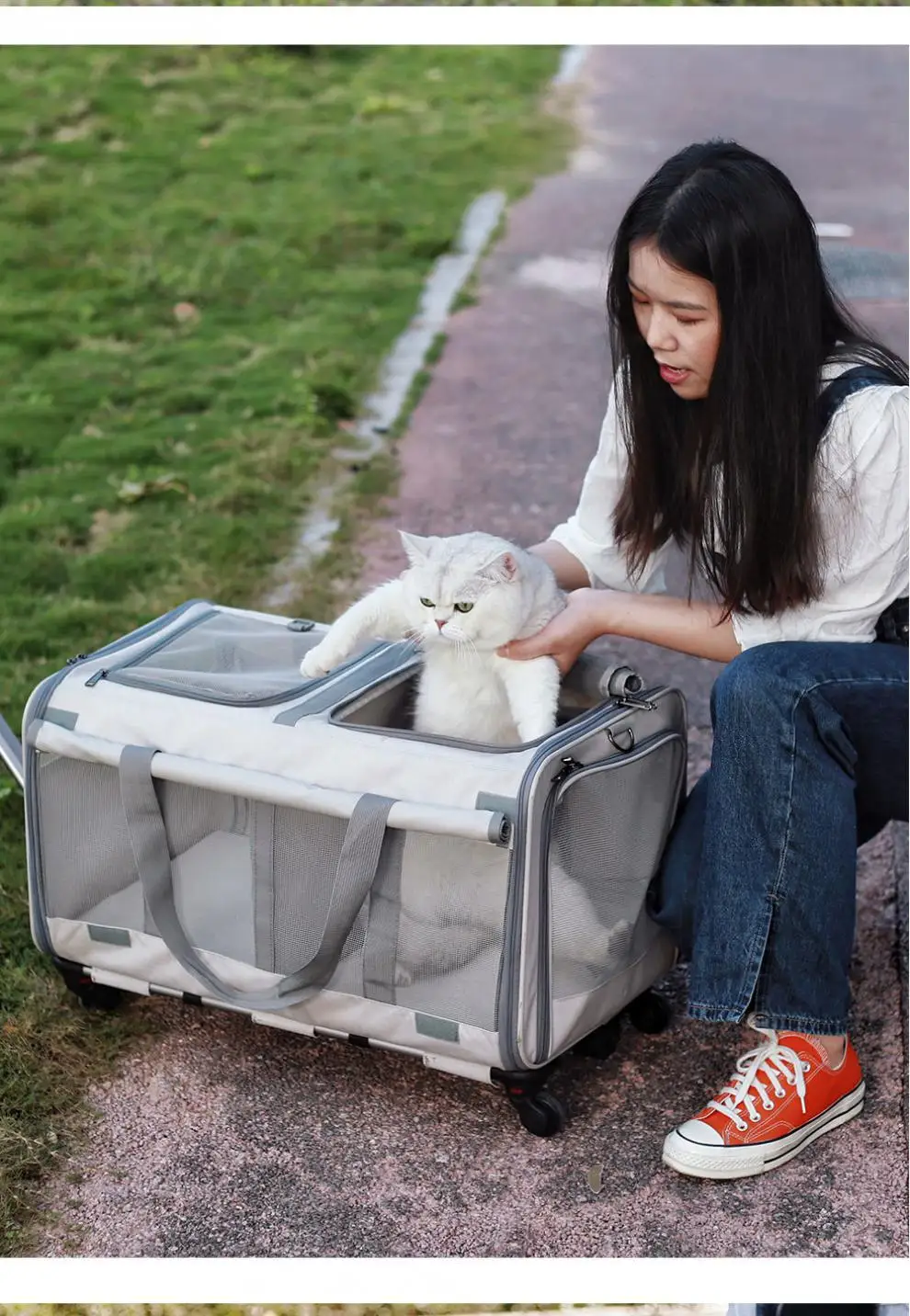 Zipper Mesh Dog Cat Backpack Out Trolley Case Large Space Hatchback Small and Medium-sized Dog Handbag Portable Pet Travel Bag images - 6