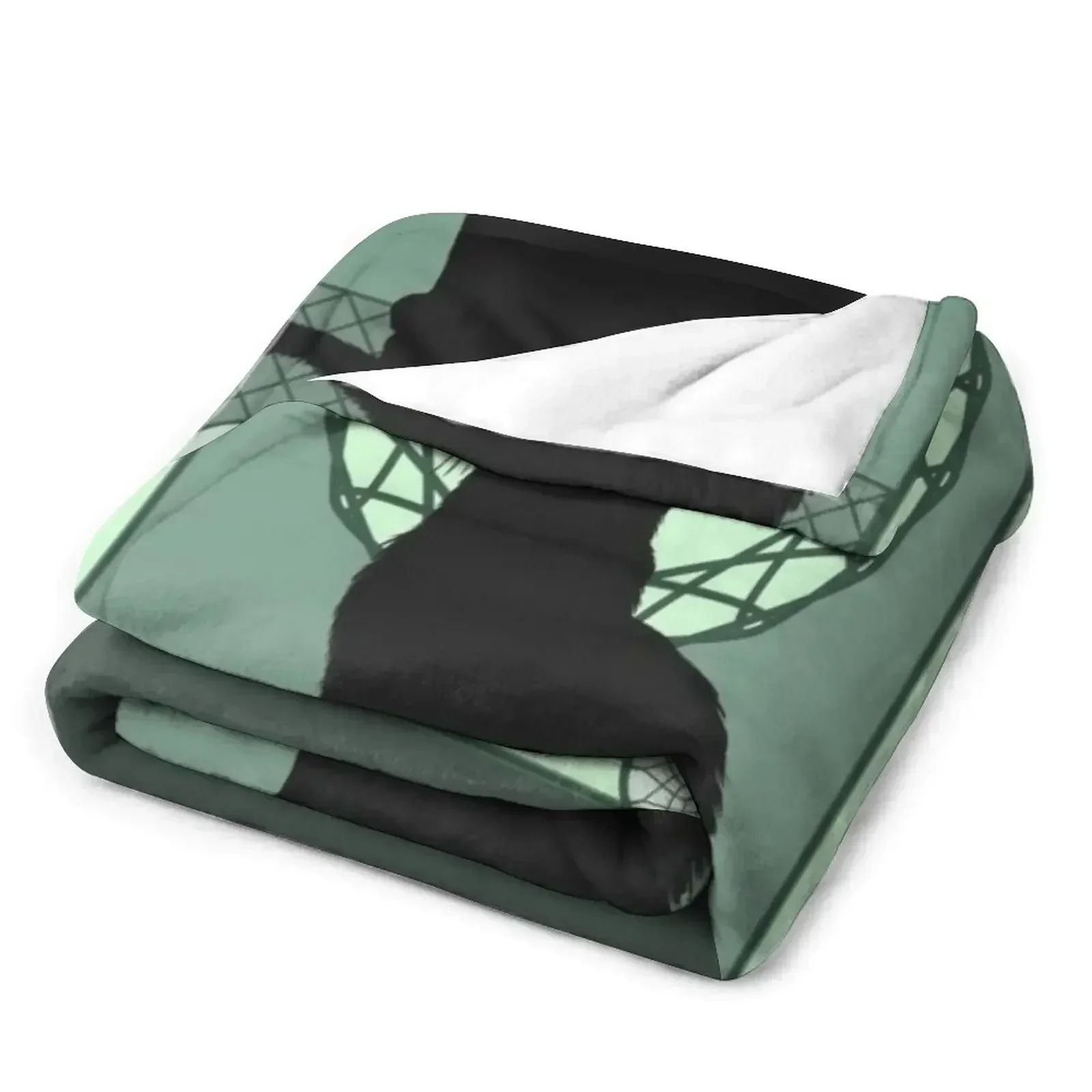 Одеяло с черным котом Noveau мягкие клетчатые теплые зимние волосатые одеяла