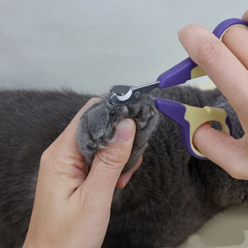 

Fashion Pet Grooming Products Supplies Cat Dog Nail Clippers Puppy Kitten Toe Claw Trimmer Nail Scissors