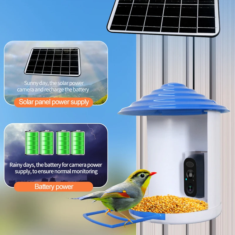 

Bird Feeder Camera AI Identify Species Built in Battery Auto Capture Bird Video Notify AI - Smart Bird Feeder Camera With WiFi