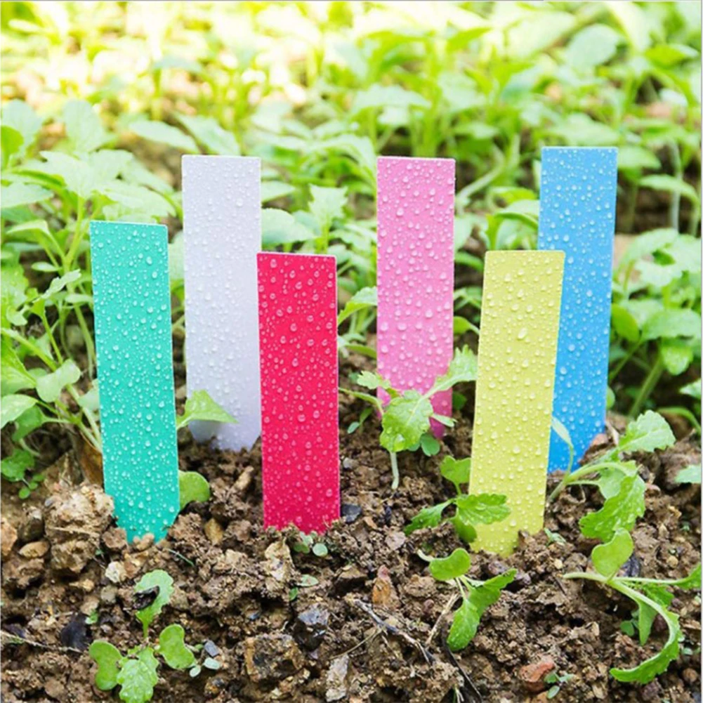

100Pcs Garden Plant Pot Markers Plastic Stakes Tags Yard Court Plants Labels Flower Pot Tag Marker for Plants Garden Ornaments