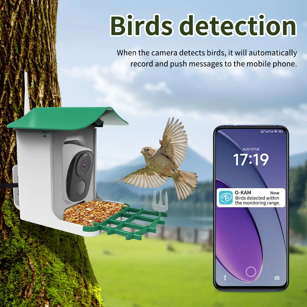 Фото OEM 3 МП O-KAM WIFI Камера-кормушка для птиц с цветным ночным видением, датчиком движения PIR, распознаванием AI (более 10000 видов), на солнечной энергии №3