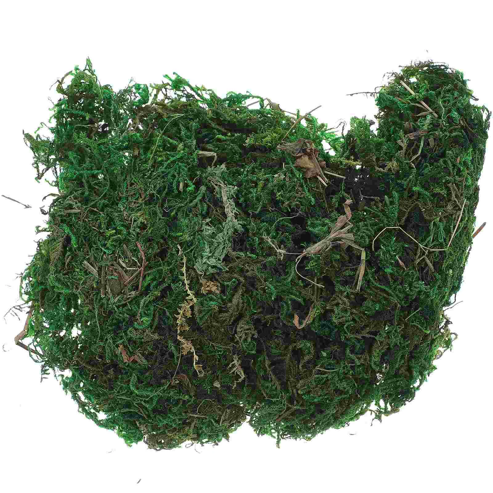 

Artificial Moss Lichen Simulation Fake Green Plants for Home Garden Patio Decoration (20g/Small Pack)
