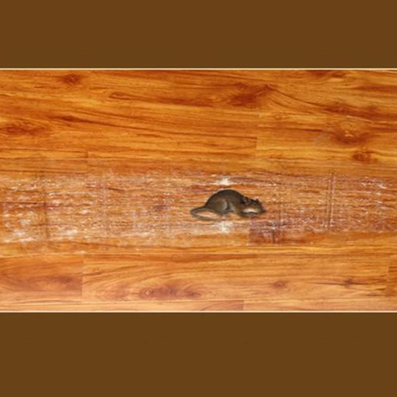 Мощная Бытовая Наклейка-ловушка Для Мыши Невидимый Волшебный Ковер