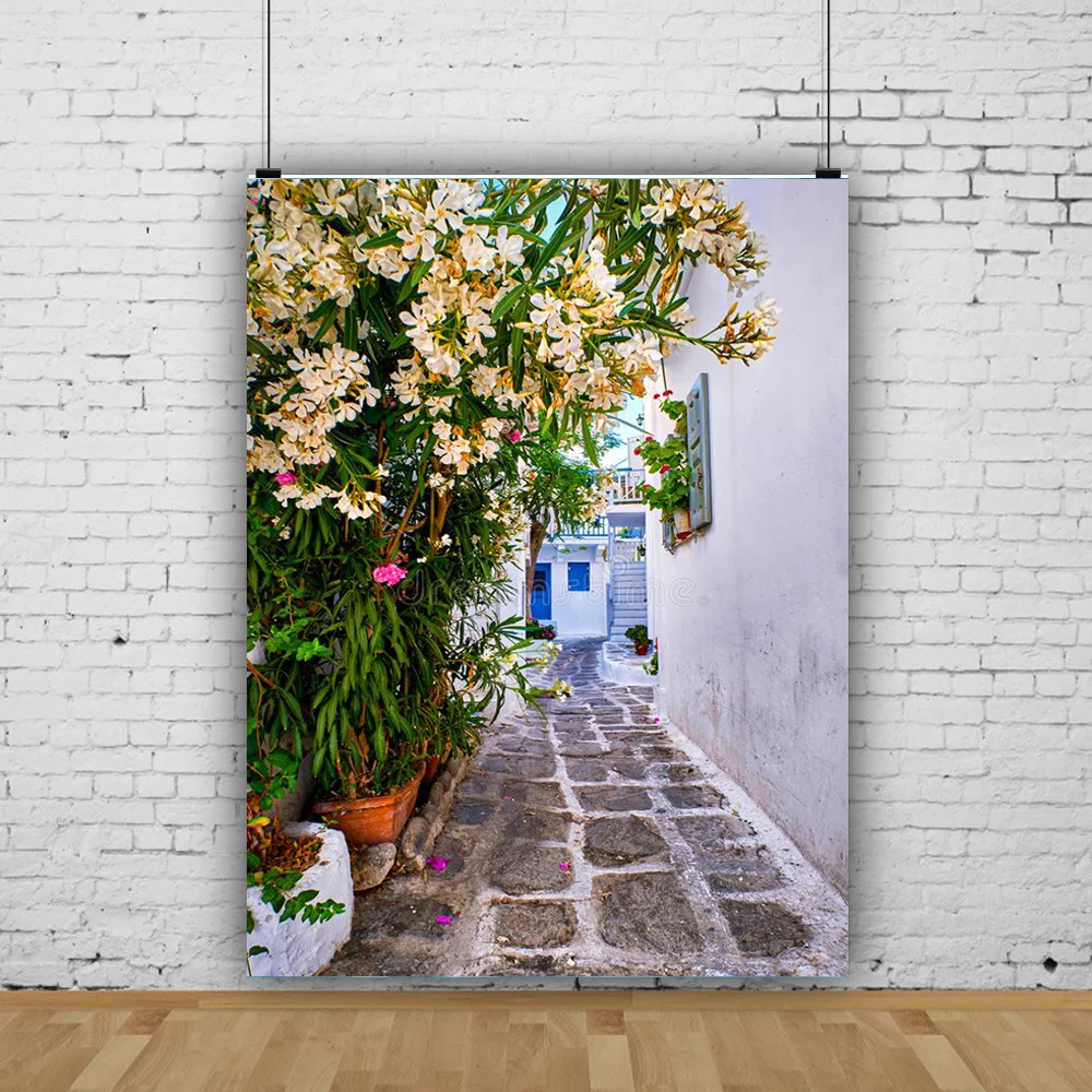 

European Style Retro Street Seaside Scenery Wedding Photos Newborn and Pet Photography Background Props JDH-01