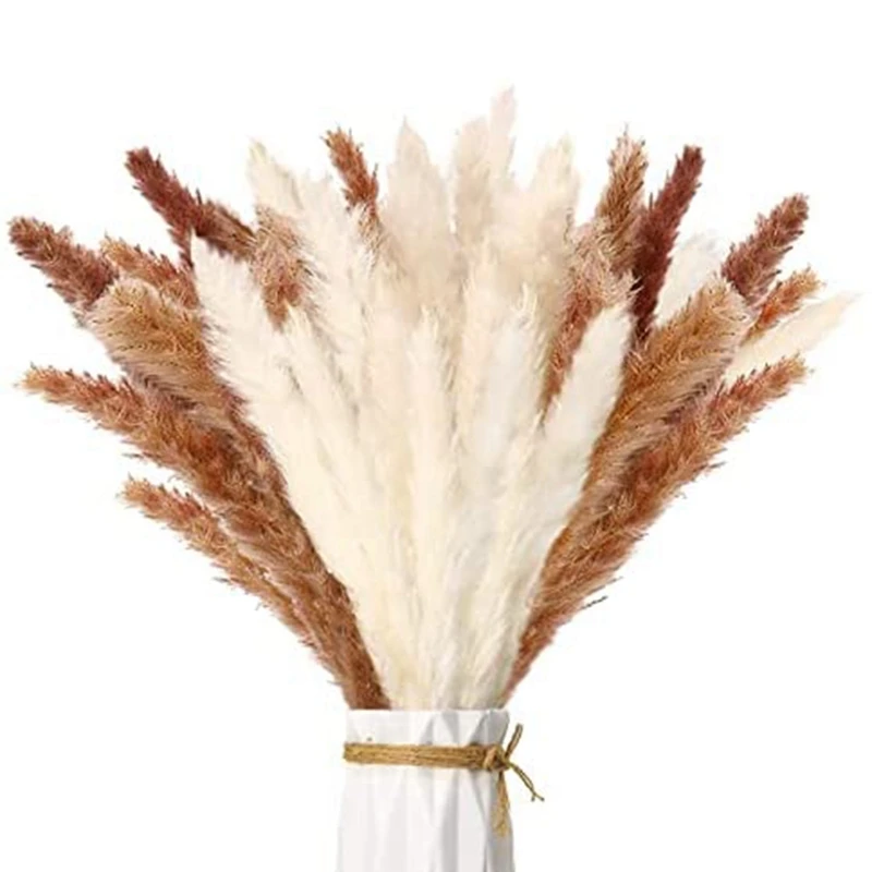 

Dried Pampas Grass Natural Dried Flowers Dried Flowers Bouquet Perfect Wedding Decoration Flower Arrangements Home Decor