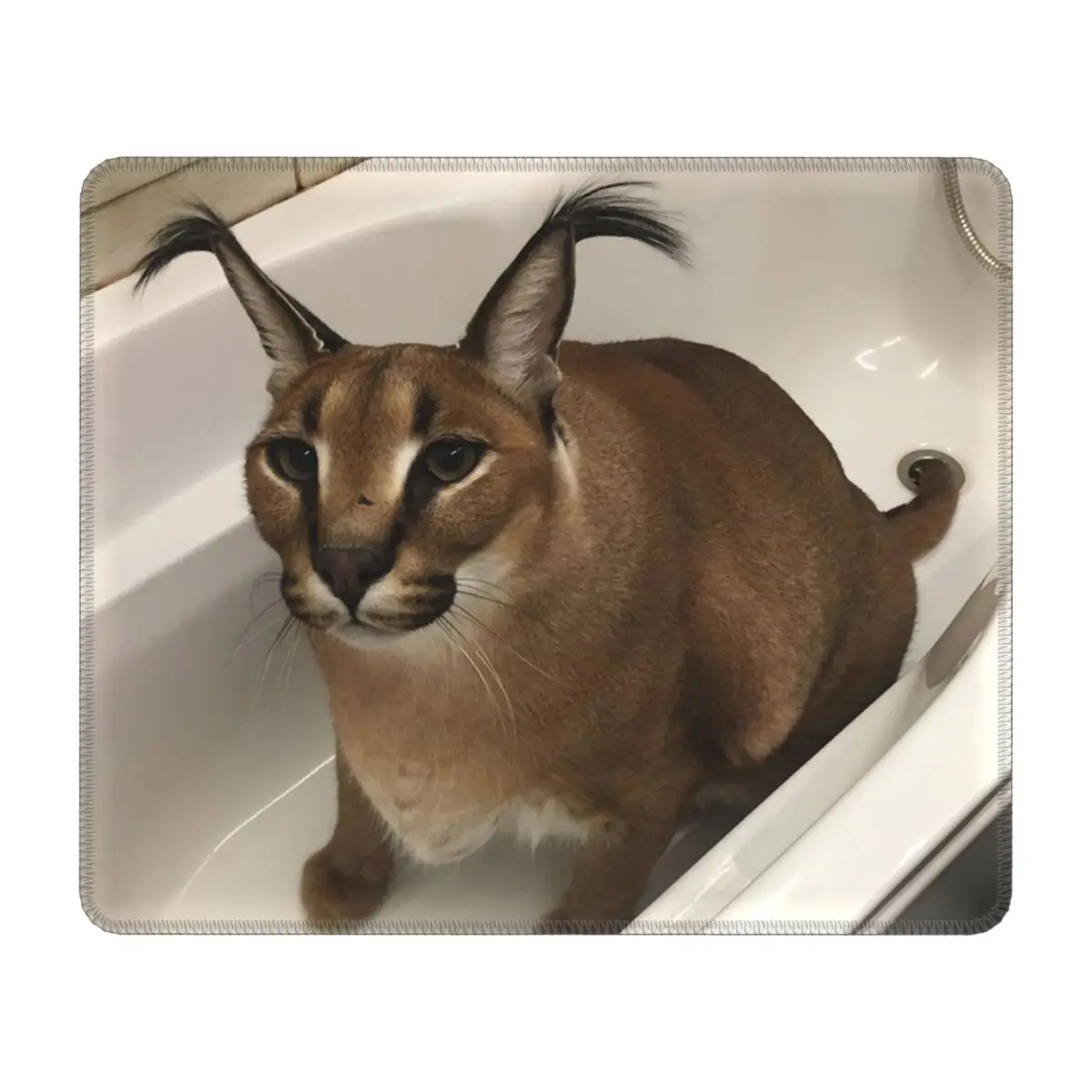 Милый игровой коврик для мыши Floppa с мемом Противоскользящий резиновой основой