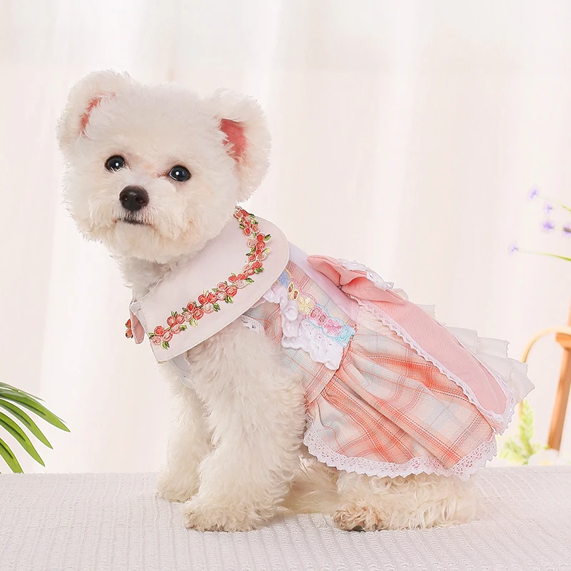 Одежда Для Щенка Чихуахуа Купить