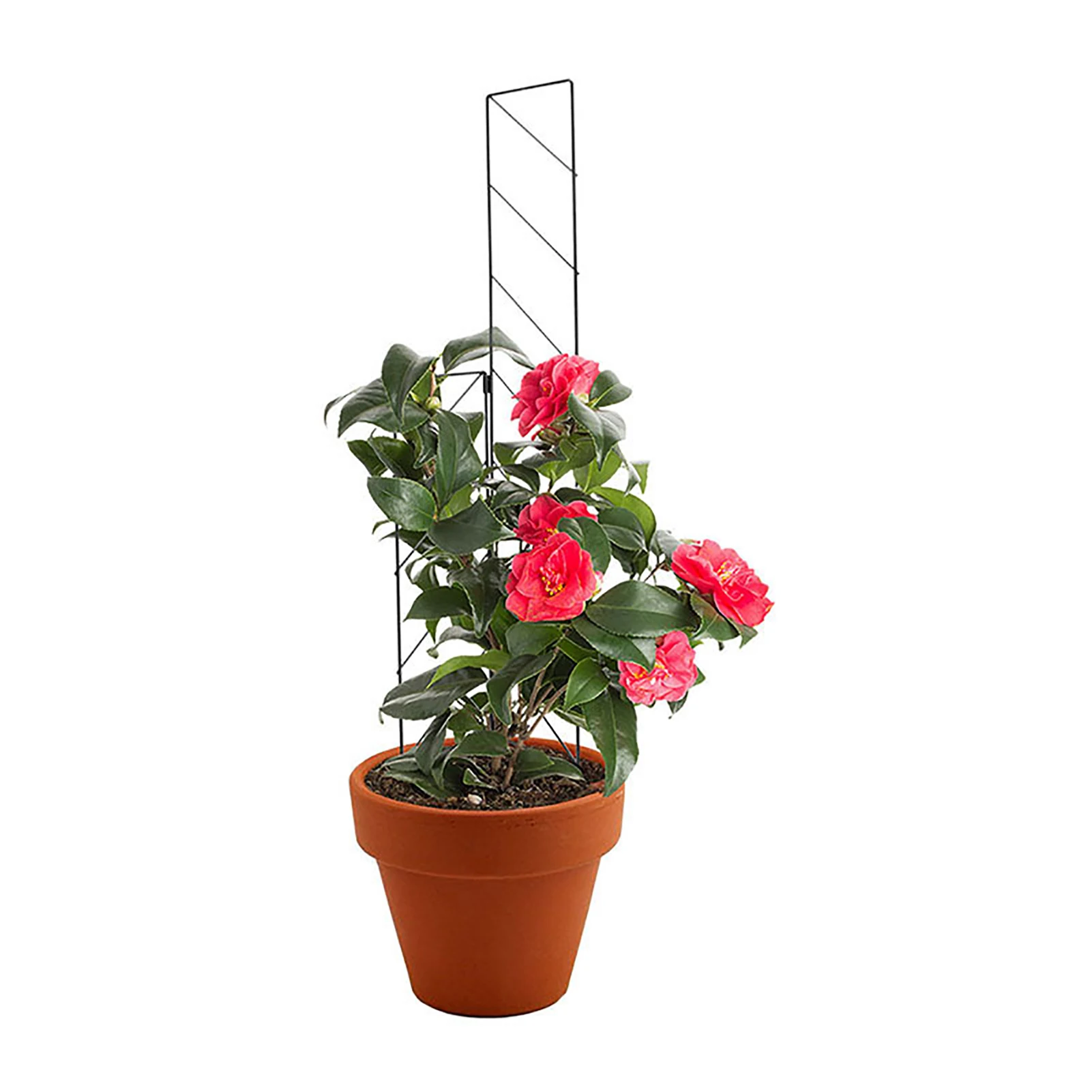 

Garden Plant Trellis Plant Growing Climbing Support Trellis Black Iron Wire Frame For Potted Plants Rustproof Plants Climbing