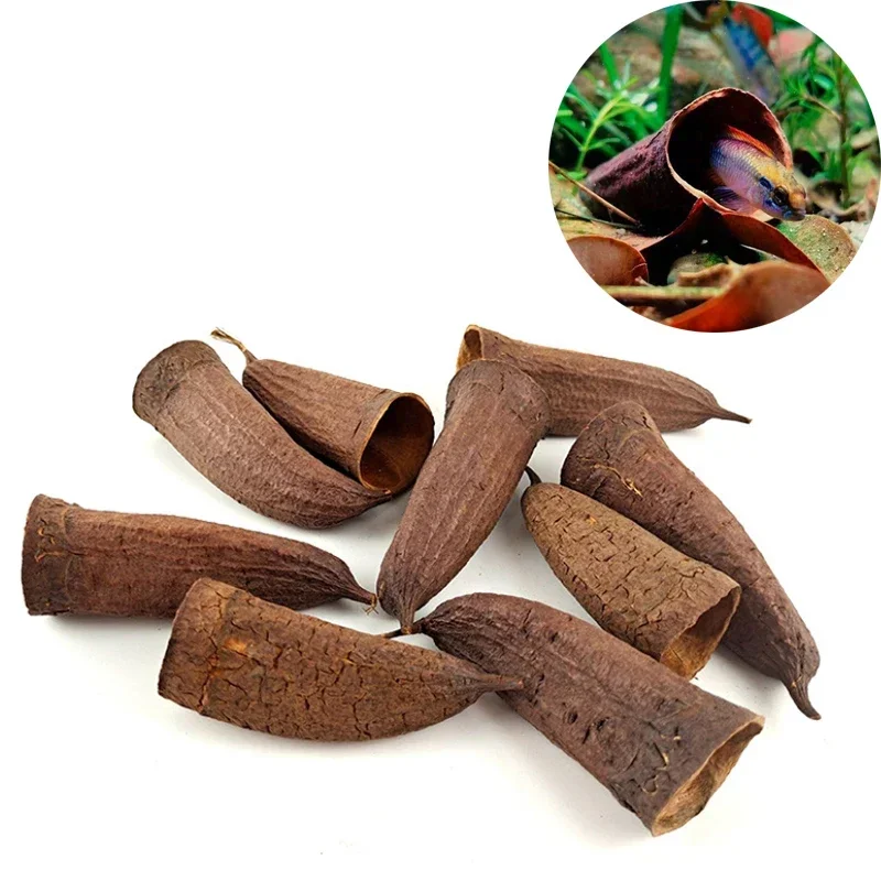 Натуральное Украшение Для Аквариума Пещера Cichlid Репродукция Среды Обитания рыба