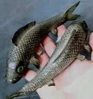 1 pair two ancient japan pure bronze sculpture vivid cyprinoid carp fish