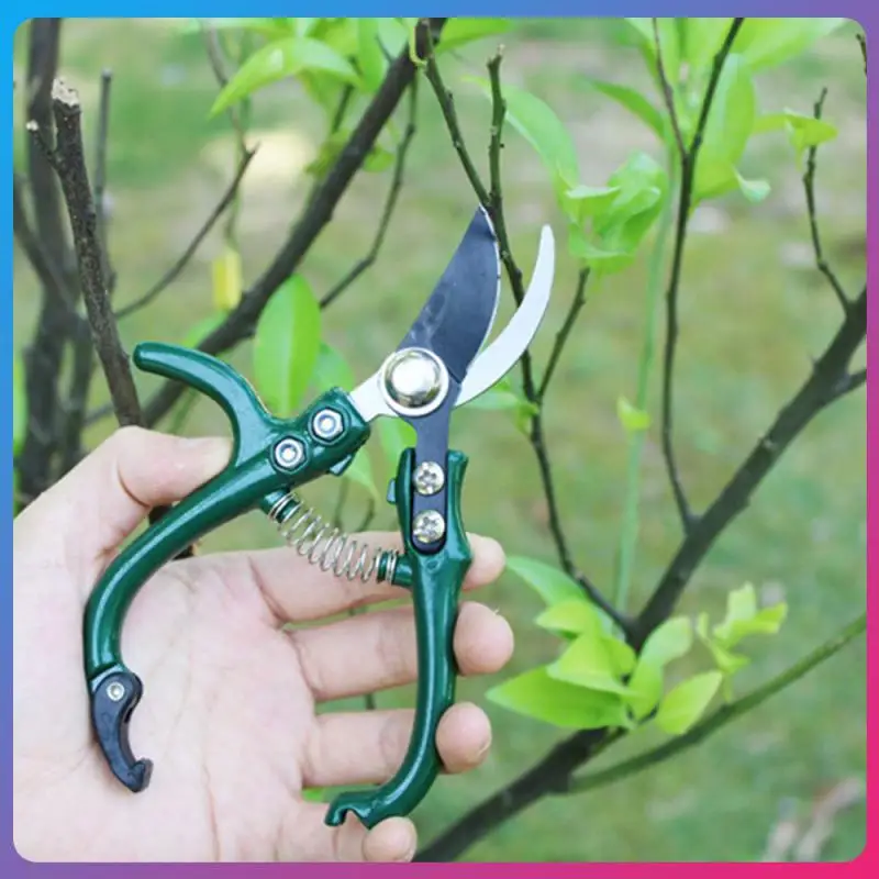

Garden Manual Pruning Shears With Mini High Toughness Strength Are Suitable For Cutting Stems Light Branches Pruning Tools