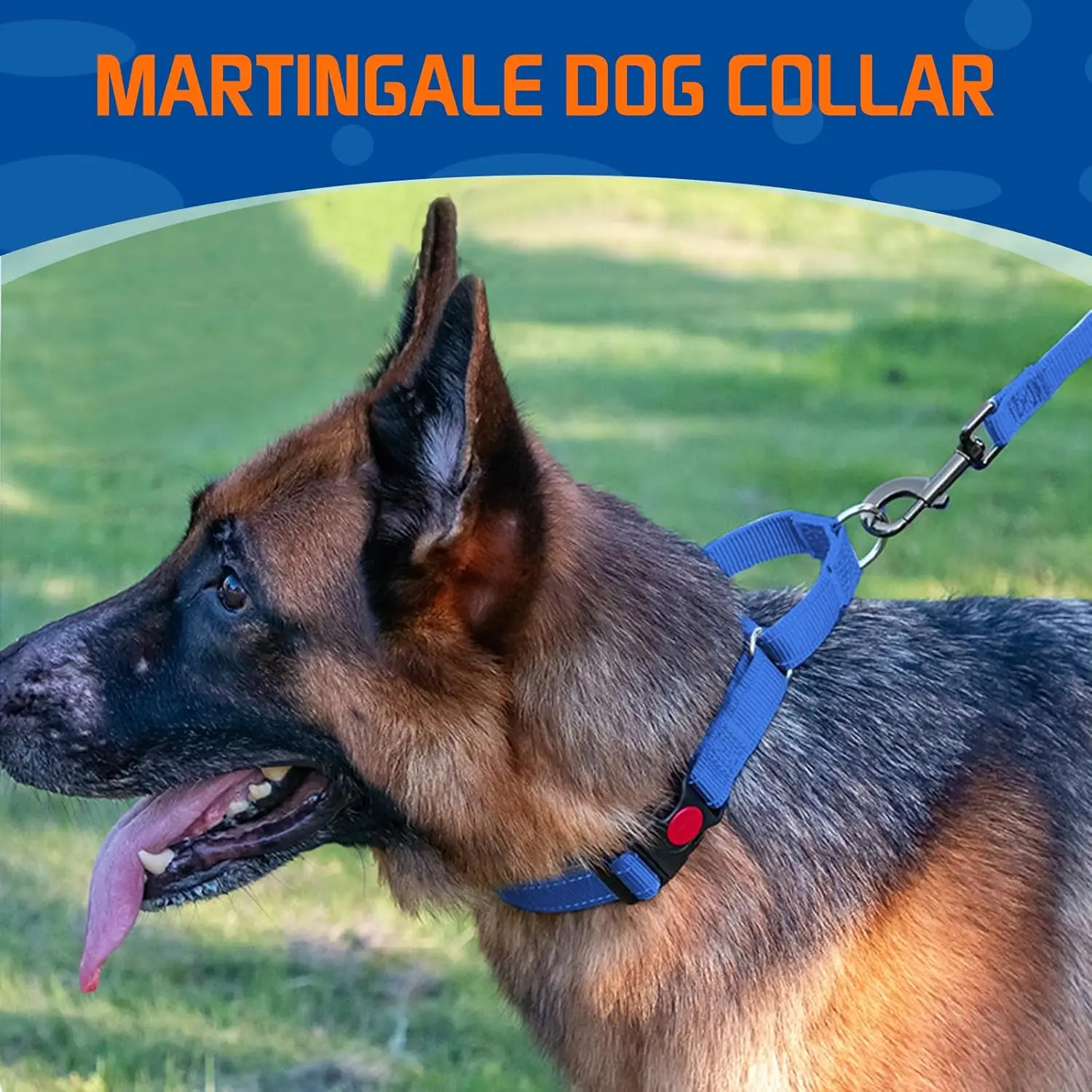 Фото Ошейник для собак Martingale с быстросъемной пряжкой, не дающий тянуться, светоотражающий, для дрессировки собак мелких, средних и крупных пород №5