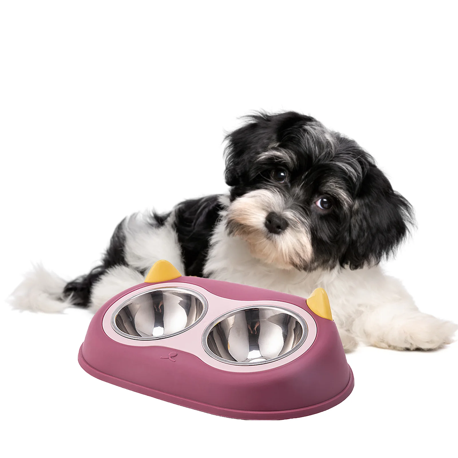 

Tilted Cat Food Bowls Stainless Steel Raised Bowl Dog Bowl Stand Elevated Cat Food Feeding Tilted Dishes Feeder With Stainless