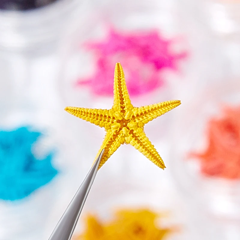 

12Jars Natural Starfish Nail Art Decorations 3D Colorful Sea Stars Nail Ornaments Ocean Style DIY Manicure Design Accessories