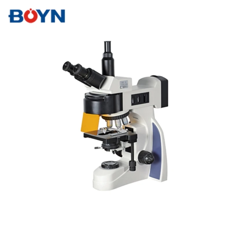 Цифровой Тринокулярный флуоресцентный микроскоп с флуоресцентным дисплеем