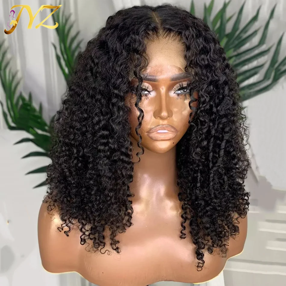 

3B 3C Burmese Curly Lace Frontal Human Hair Wigs For Women Raw Mongolian Curly Edge Lace Clsoure Wig Natural Hairline On Sale