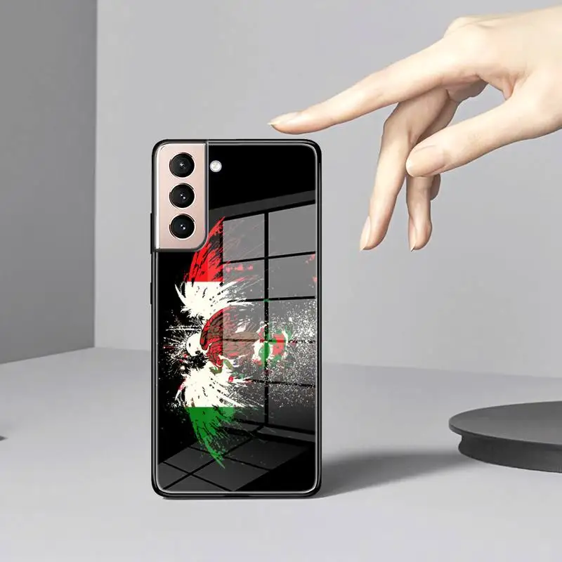 Чехол для телефона с мексиканским флагом из закаленного стекла чехол Samsung S22 S21 S20
