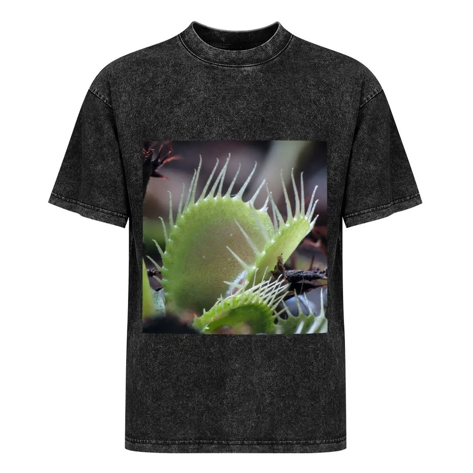 Dionaea muscipula-Venus Flytrap футболка топы аниме одежда мужские футболки с рисунком хип-хоп