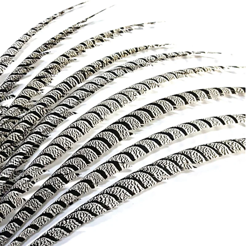 

10Pcs/Lot Natural Pheasant Feathers Zebra Stripes For Crafts 60-100cm Real Pheasant Tails Plumes Carnival Decoration