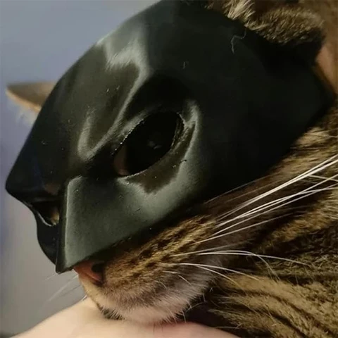 Новая 3d печать кошка летучая мышь маска собака забавная гарнитура кошачий головной убор маска для домашних животных украшение для лица 2024