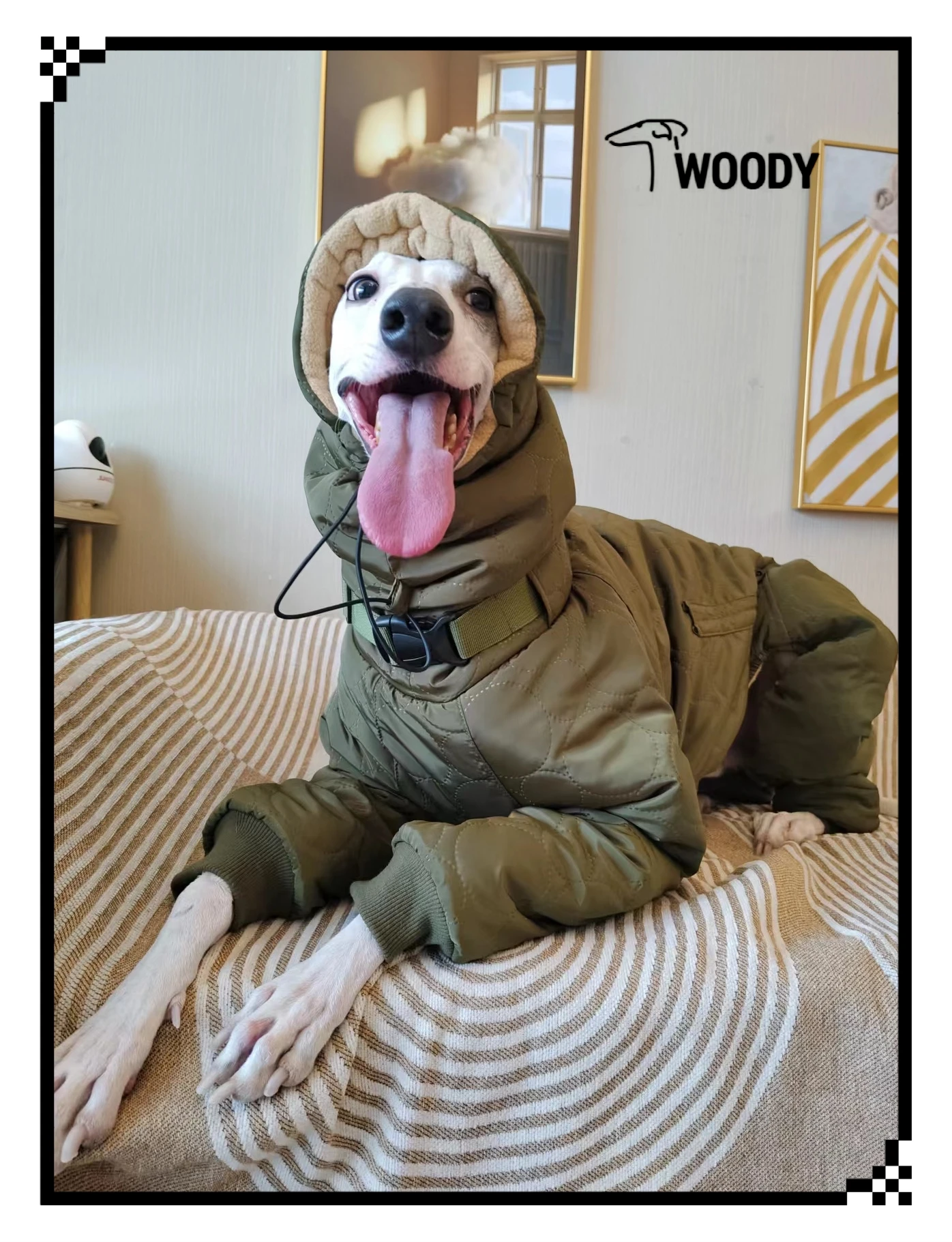 Фото Spuer-thick  Soft Winter Dog Clothes Greyhound Costumes Dog Warm Apparel Whippet Coat Italian Greyhound Jacket №1