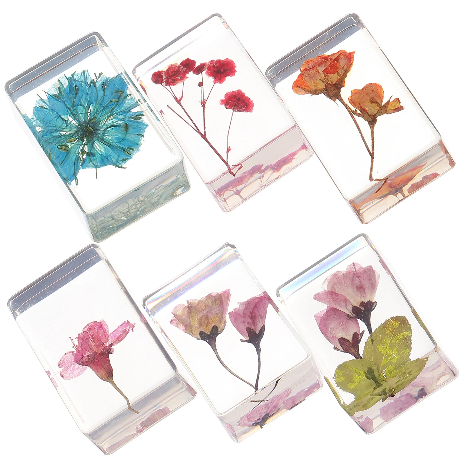 

6 Pcs Flower Specimen Resin Artificial Amber Hand Decor Plants Faux Epoxy Crafts