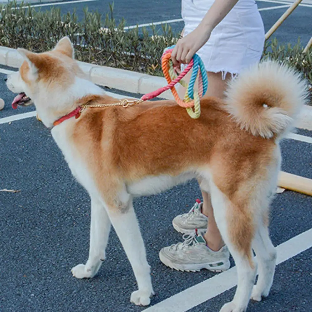 

Anti-scape Firm Gradient Color Traction Leash Traction Rope for Outdoor Pet Pet Dogs Woven