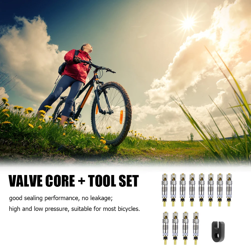 

Brass Presta Bicycle Tire Valve Core Removal Tool for MTB Road Bike Stem Presta Style Tyre Valve Core 2/6/12pcs
