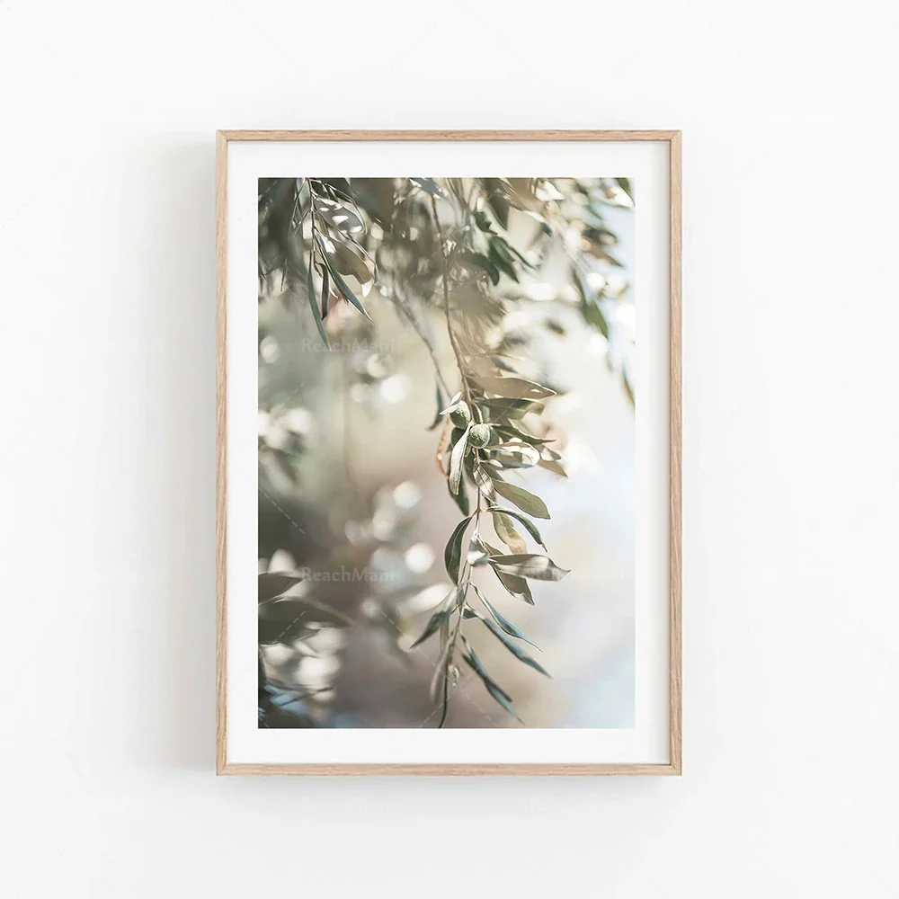 

Минималистичный постер с оливковым деревом JKPICTURE