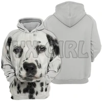 animals dogs dalmatian puppy 3d printed hoodies unisex pullovers funny dog hoodie casual street tracksuit