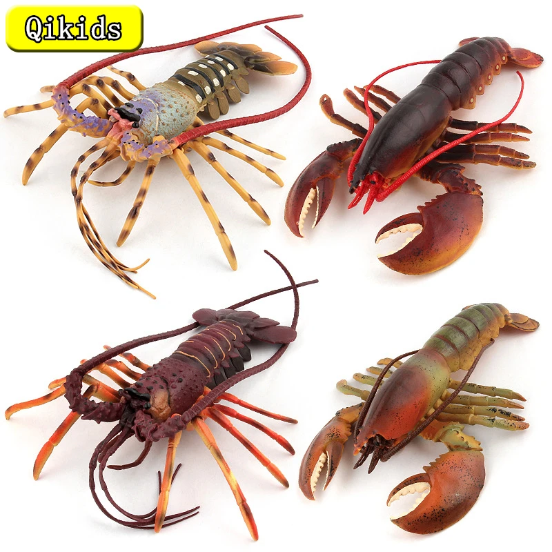 

1 Pcs Large Size Simulation Australian Lobster Model Toys Wild Marine Life Submarine Animals Figures Children Toy Birthday Gifts