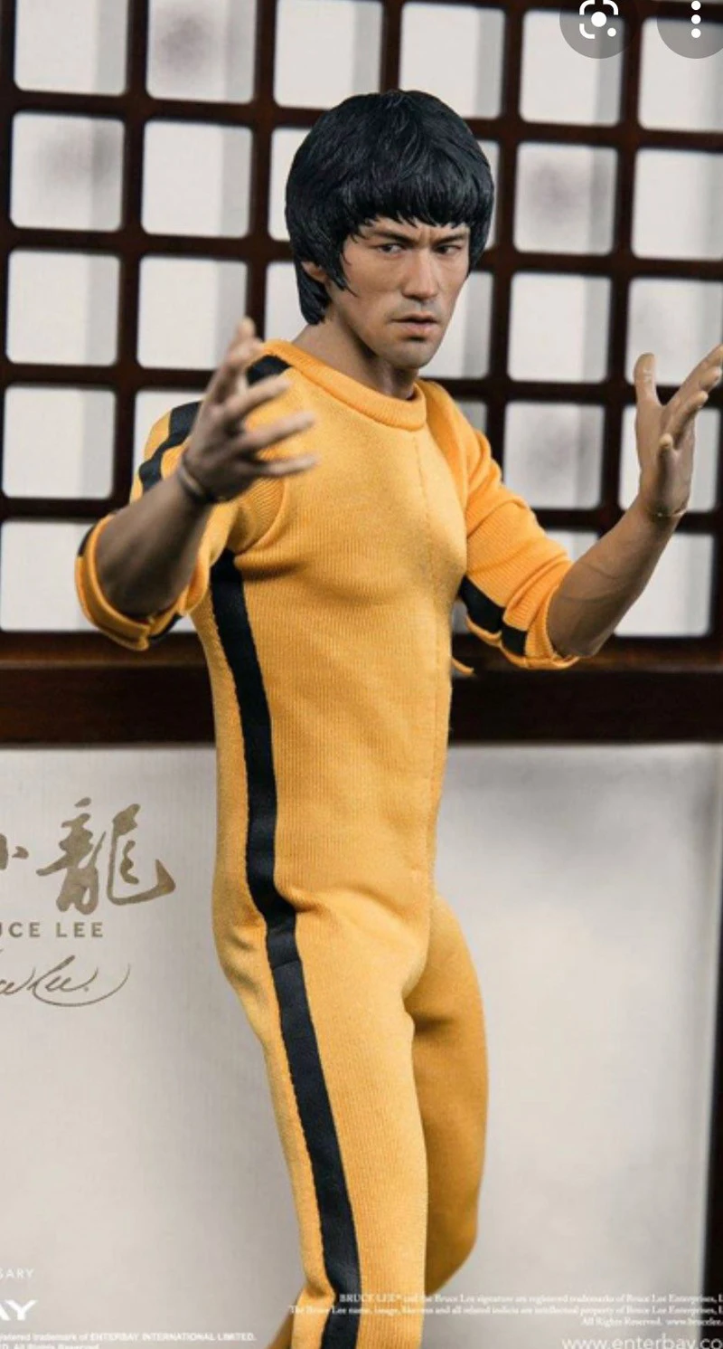 

1/6th The Chinese Kung Fu Bruce Lee Classical Hand Models 9PCS/SET Accessories For Fans DIY Collect