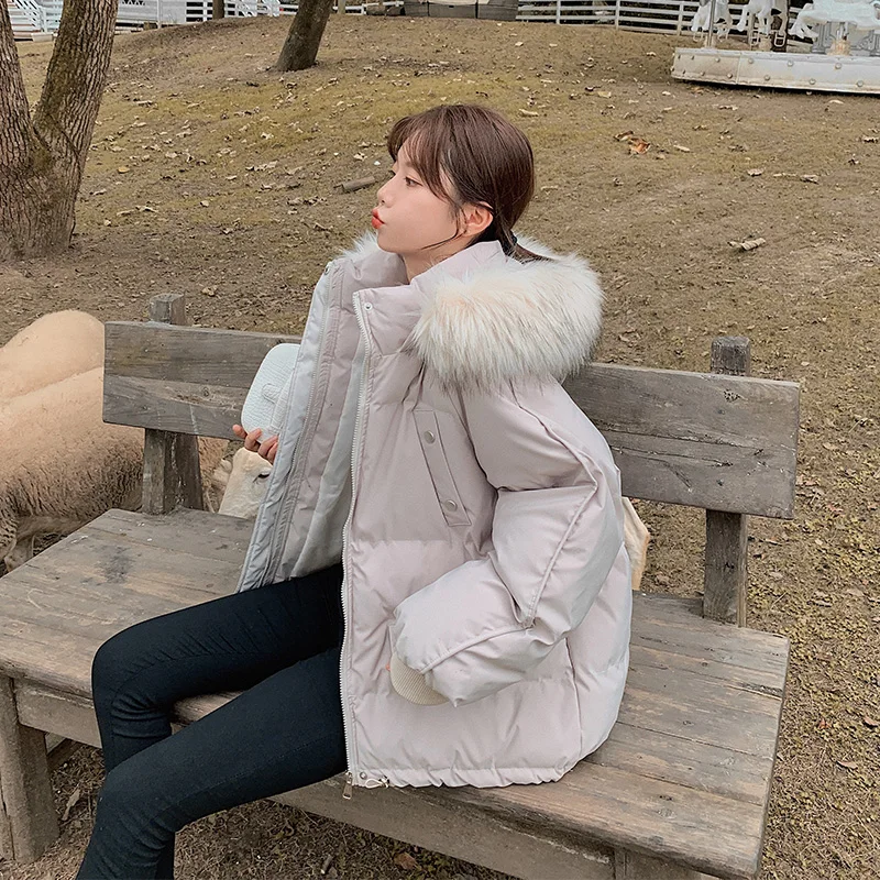 

2023 New Solid Hooded Breadsuit Short Down Cotton Coat Women Korean Loose Autumn Winter Casual Zipper Warm
