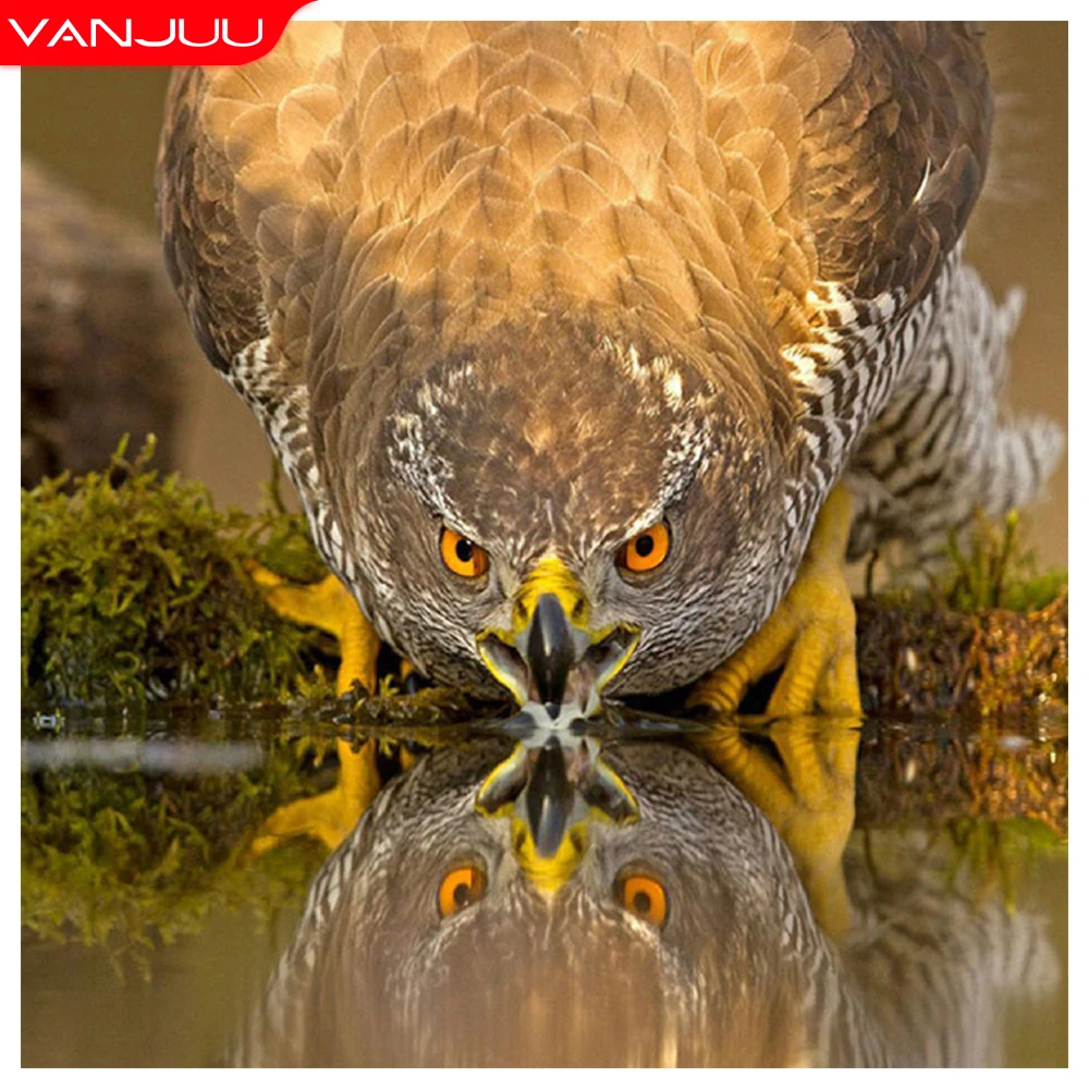 

VNAJUU Full Drill Falcon Diamond Mosaic 5D Diamond painting Raptor Diamond Embroidery Diy Home Decor Rhinestones Painting