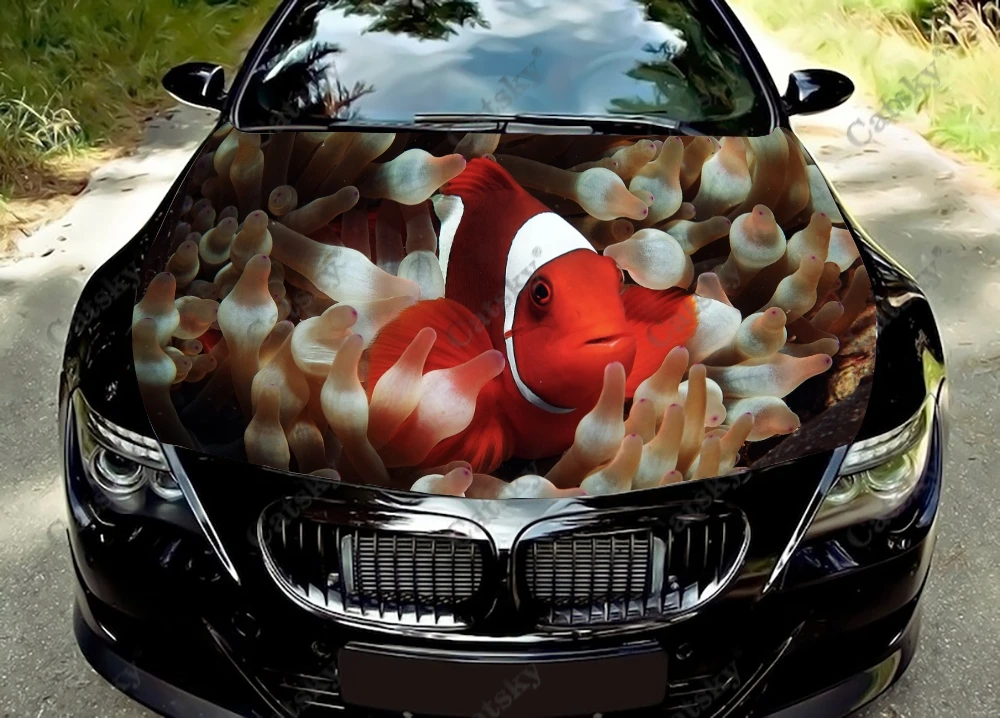 

Виниловая наклейка на капот автомобиля в виде рыбы-клоунка