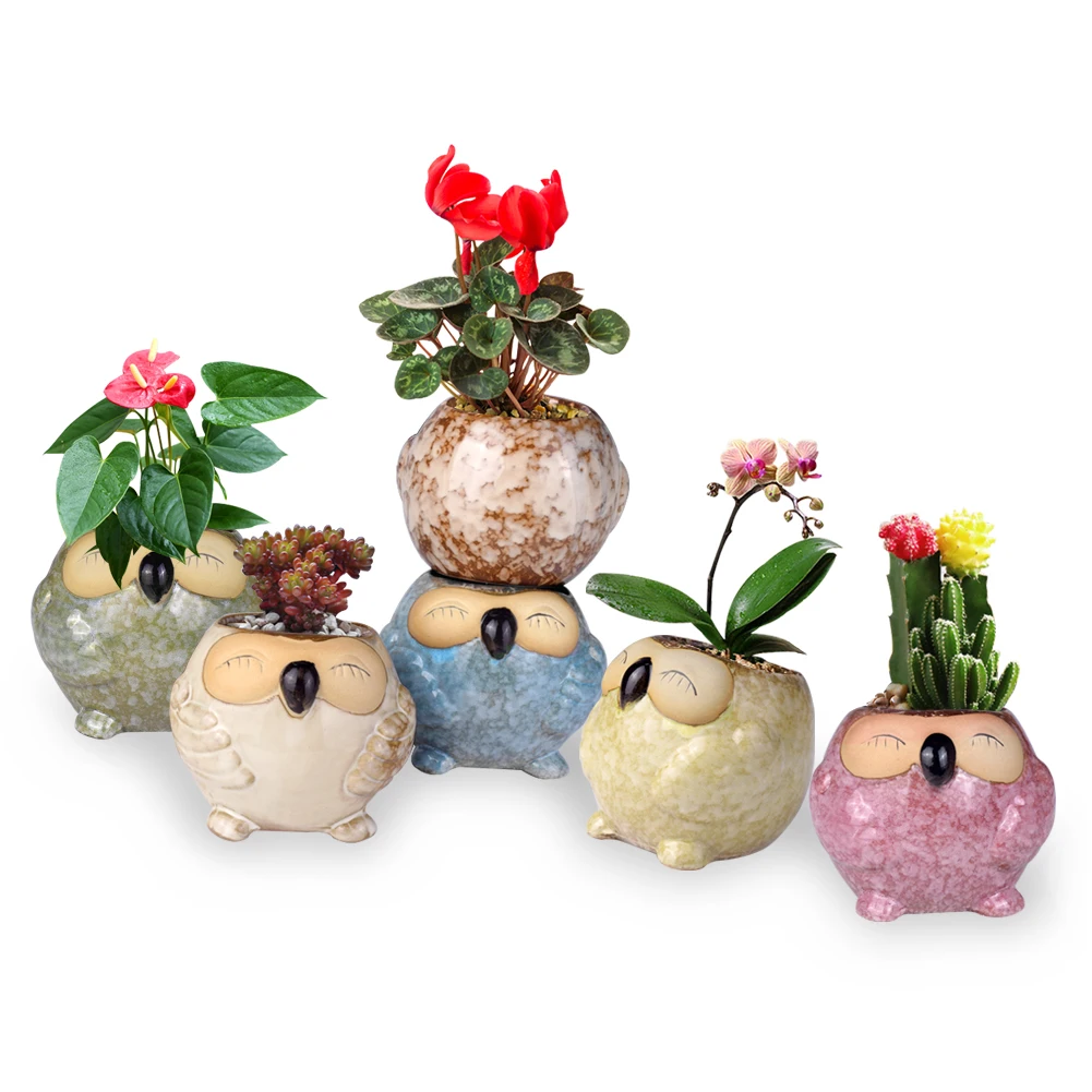

Женская улыбающаяся Ваза «Сова» Настольный садовый горшок для суккулентов кавайная улыбающаяся Сова стильный глазурованный фарфоровый го...