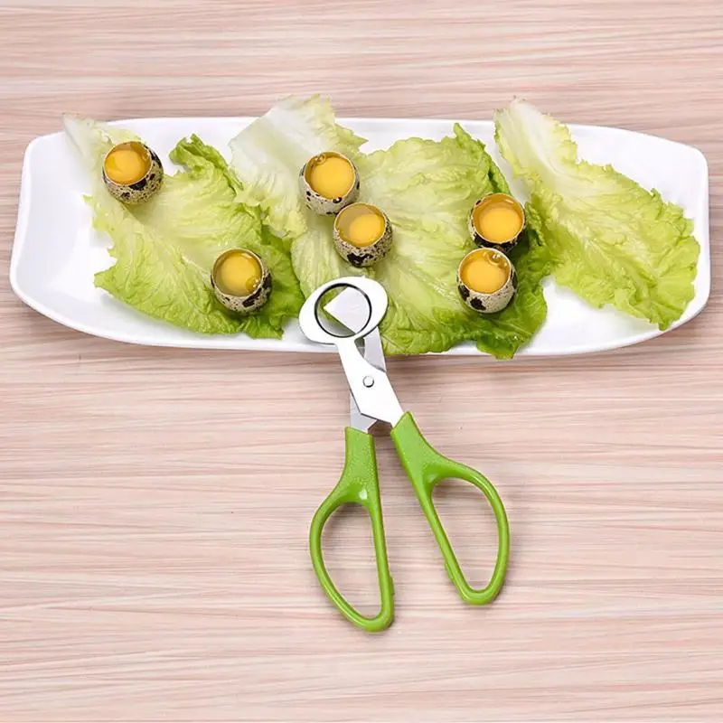 

Kitchen Scissors Pigeon Quail Egg Scissor Stainless Steel Bird Egg Cutter Opener Shells Scissors Cracker Eggshell Clipper Tools