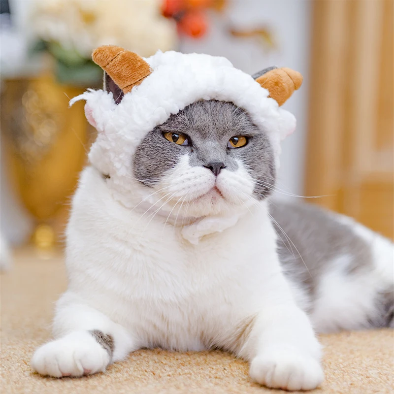 

Funny Cat Hat Women's Keep Warm Pet Headwear Pet That Dog Disguise Cosplay Cap Soft Cute Interesting Animal Costume Headwear