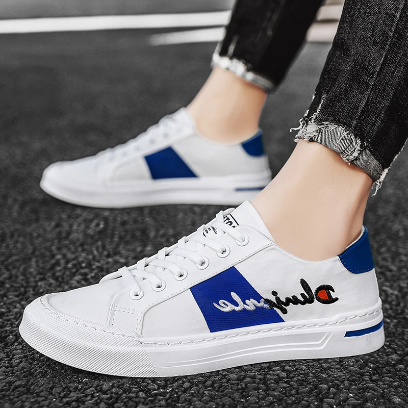 Summer Fashion Embroidery Low-cut Mens Skateboard Sneakers Breathable Flat Sports Shoes For Man Waterproof Men Skateboard Shoes