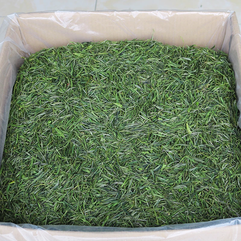 Huang Shan Mao Feng Green Chinese Tea Early Spring Organic Fresh Maofeng 250g |