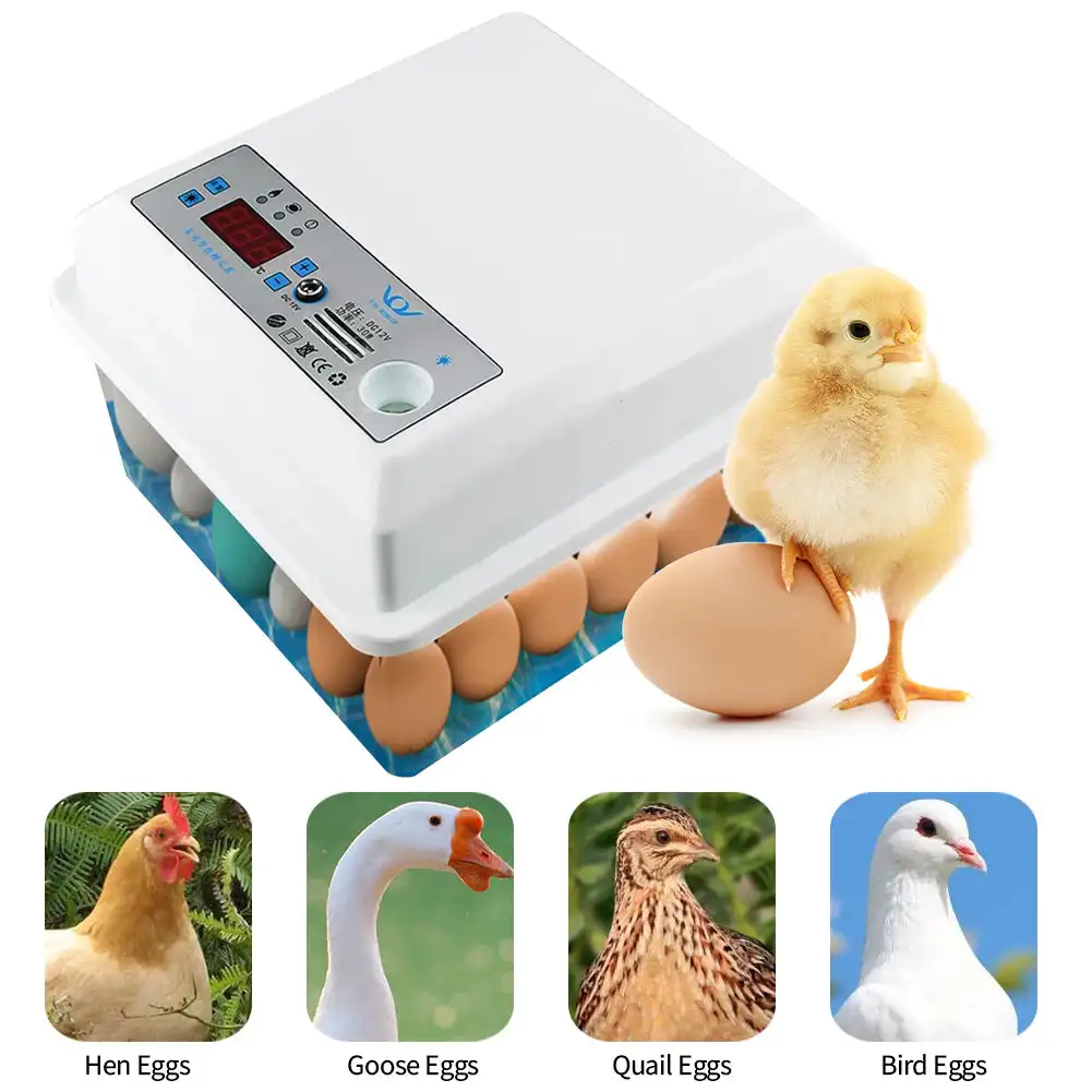 

20 Eggs Incubator Brooder Bird Quail Chick Hatchery Incubator Poultry Hatcher Turner Automatic Temperature Control 220V