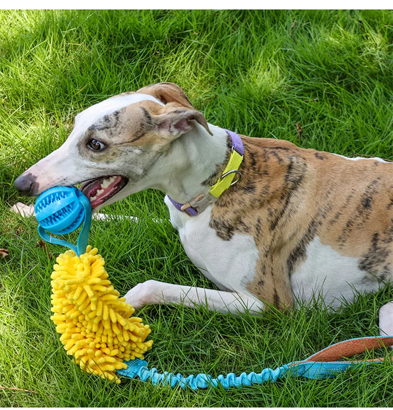 Интерактивная игрушка-буксир для собак эластичная веревка мяч игрушки