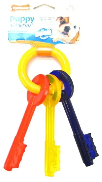 

JMT Puppy Chew Teething Keys Chew ToyU81384